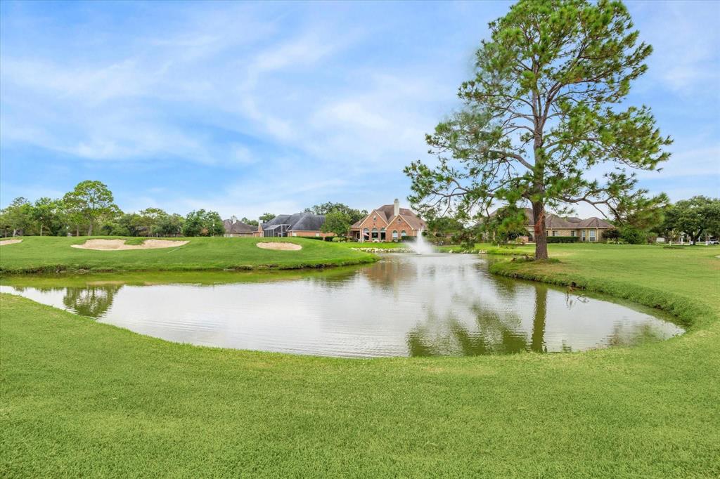 810 Birchview Court, Pearland, Texas image 42