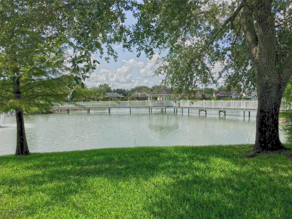 810 Birchview Court, Pearland, Texas image 39