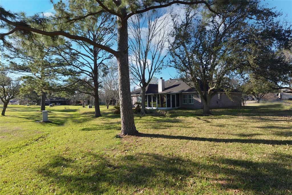 810 Birchview Court, Pearland, Texas image 29
