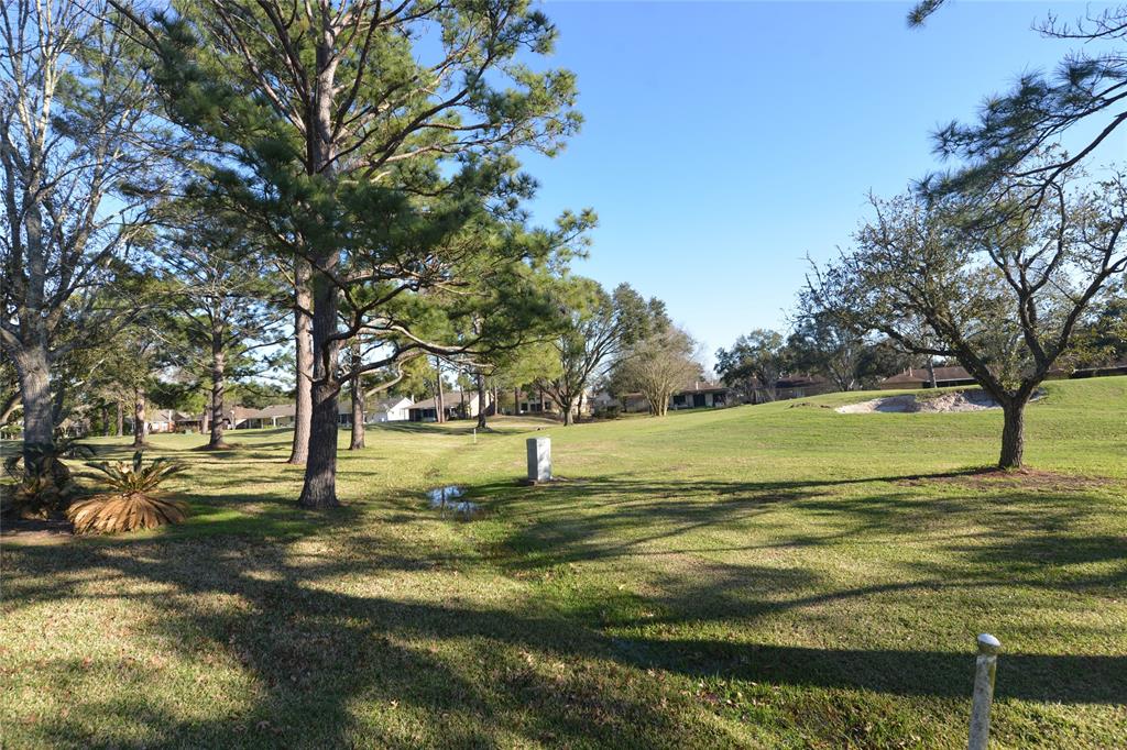810 Birchview Court, Pearland, Texas image 6
