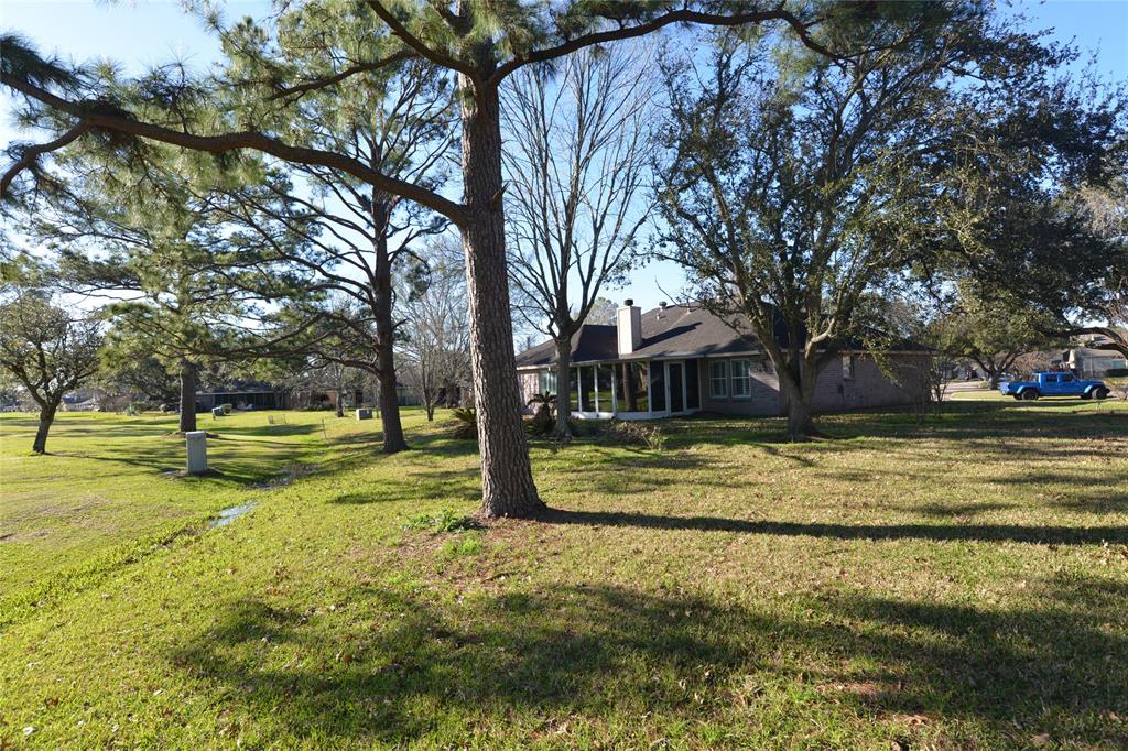 810 Birchview Court, Pearland, Texas image 34