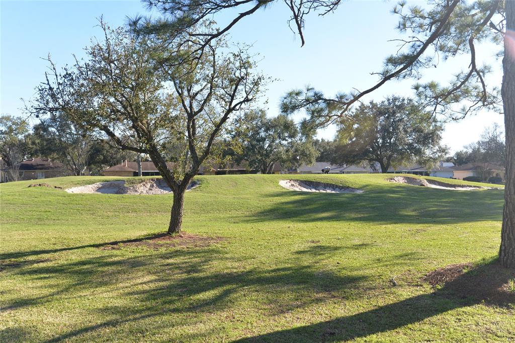 810 Birchview Court, Pearland, Texas image 31