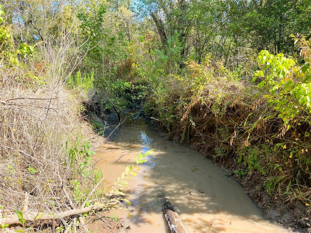 Na Fcr 290, Oakwood, Texas image 10