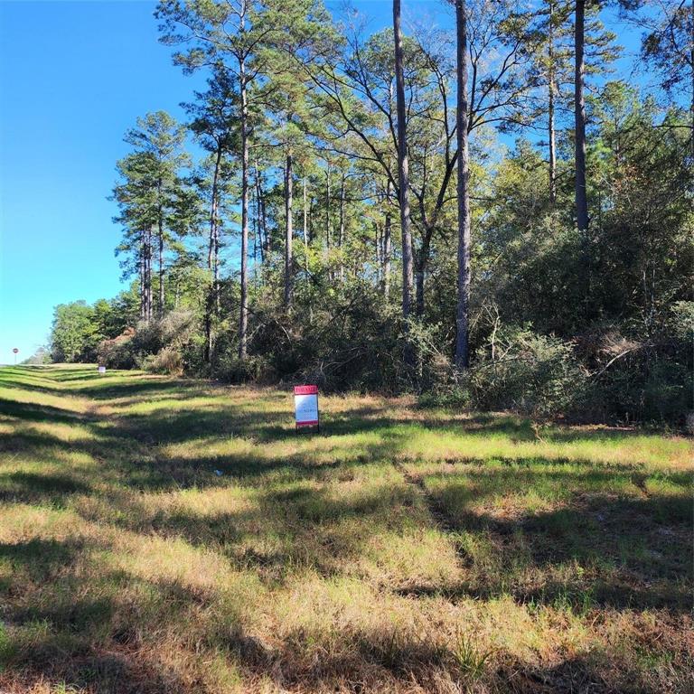 15890 Four Hills Road, Willis, Texas image 5