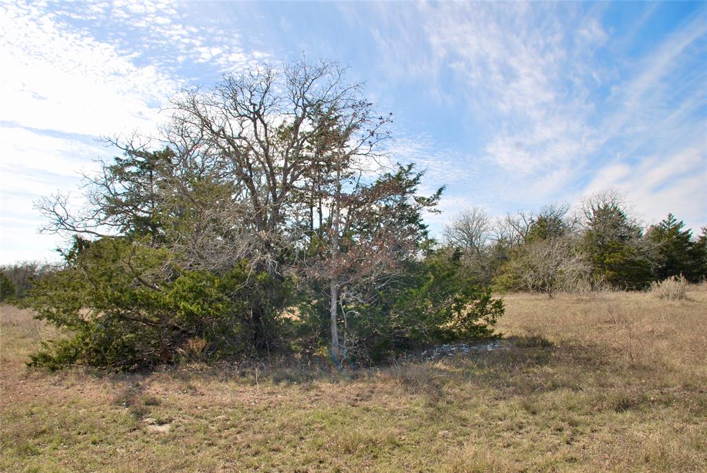 1485 Davis Road, Muldoon, Texas image 15