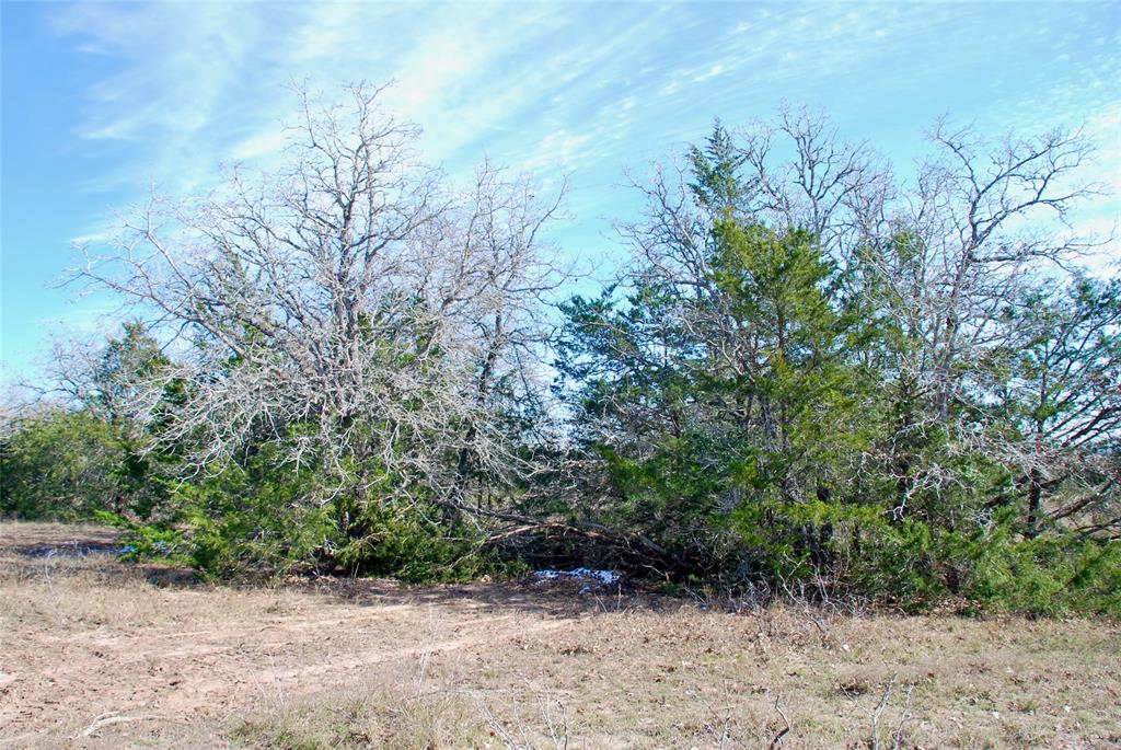 1485 Davis Road, Muldoon, Texas image 11