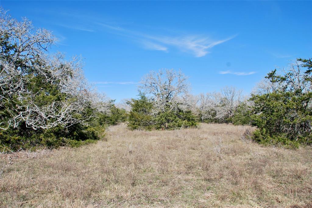 1485 Davis Road, Muldoon, Texas image 13