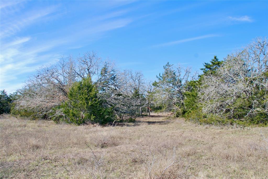 1485 Davis Road, Muldoon, Texas image 16