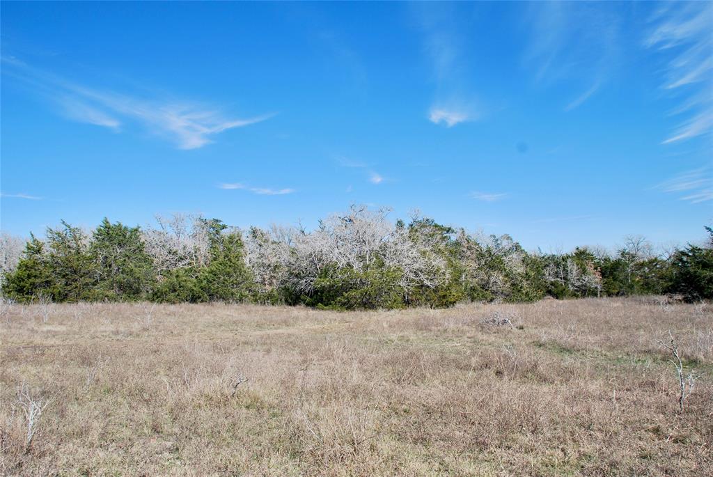 1485 Davis Road, Muldoon, Texas image 14