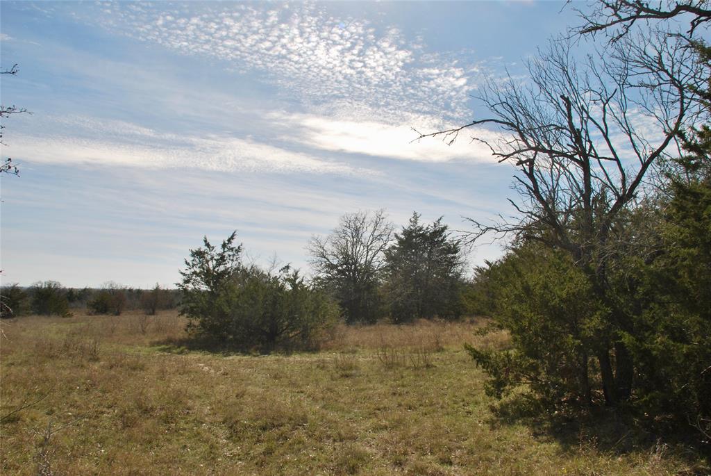 1485 Davis Road, Muldoon, Texas image 24