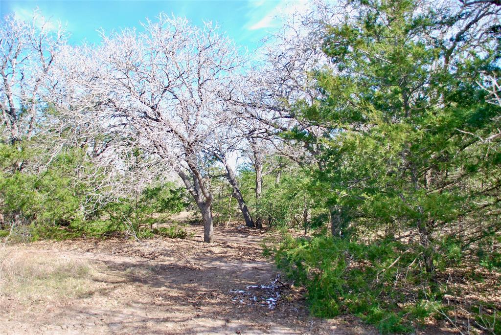 1485 Davis Road, Muldoon, Texas image 10