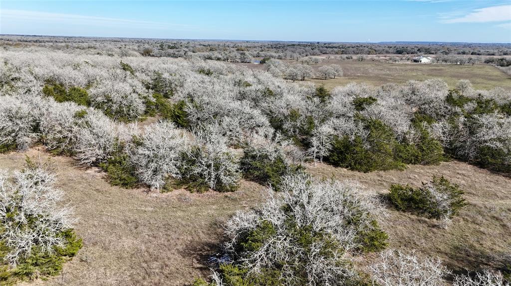 1485 Davis Road, Muldoon, Texas image 9