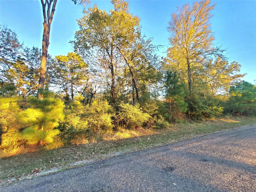 400 Pine Forest Acres Drive, Trinity, Texas image 9