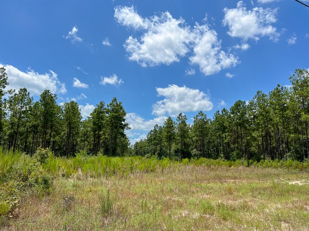 03 County Road 1420, Warren, Texas image 9