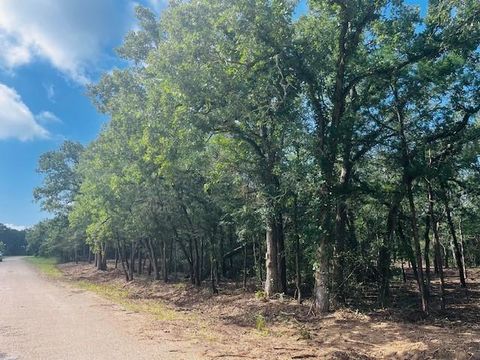 Vacant Land For Sale - TBD Big Creek Forest Drive<br/> Burleson County, Somerville, TX 77879