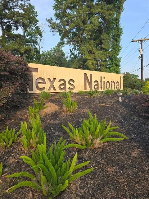 TBD Lot 111 Texas National Willis TX 77378