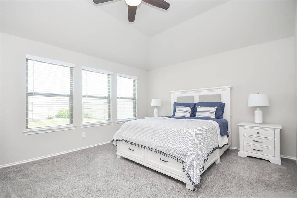4806 Cedar Butte Lane, Manvel, Texas image 13
