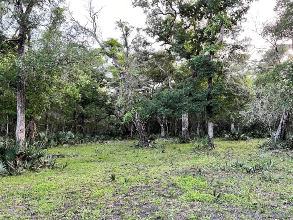 8178 Cr-860, Sweeny, Texas image 23