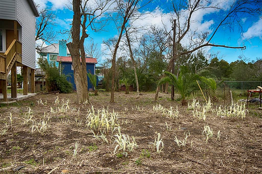 3607 Elmen, Seabrook, Texas image 8