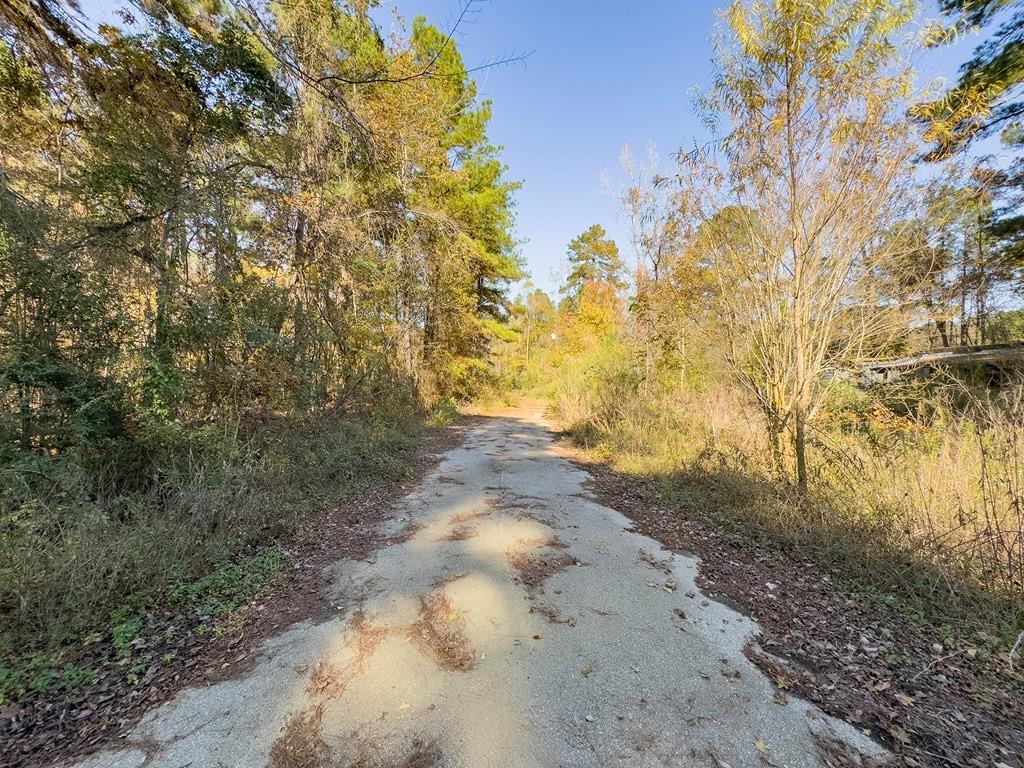 R81455 Walnut Street, Huntington, Texas image 3