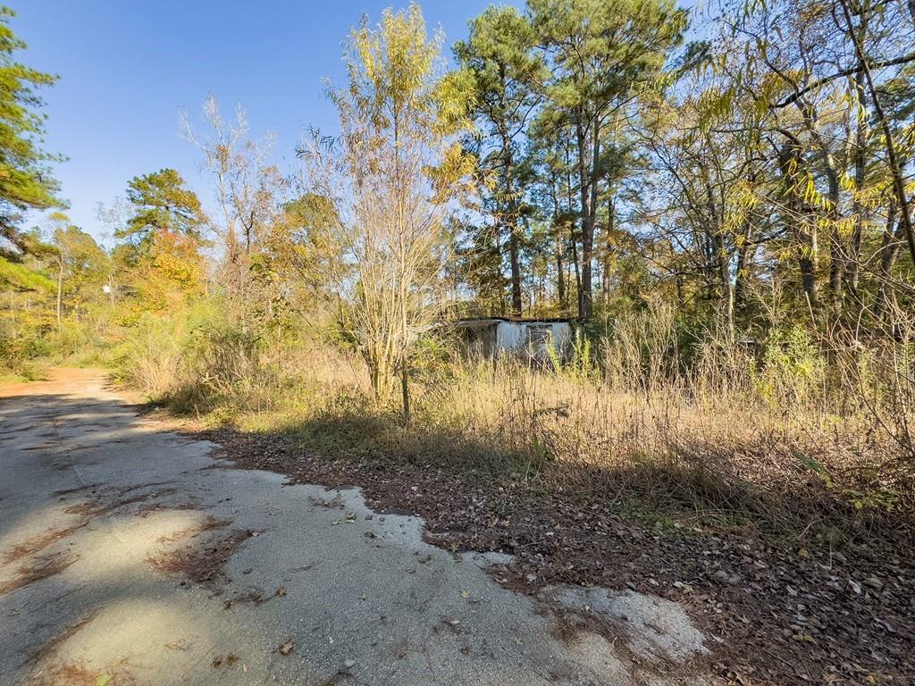 R81455 Walnut Street, Huntington, Texas image 4