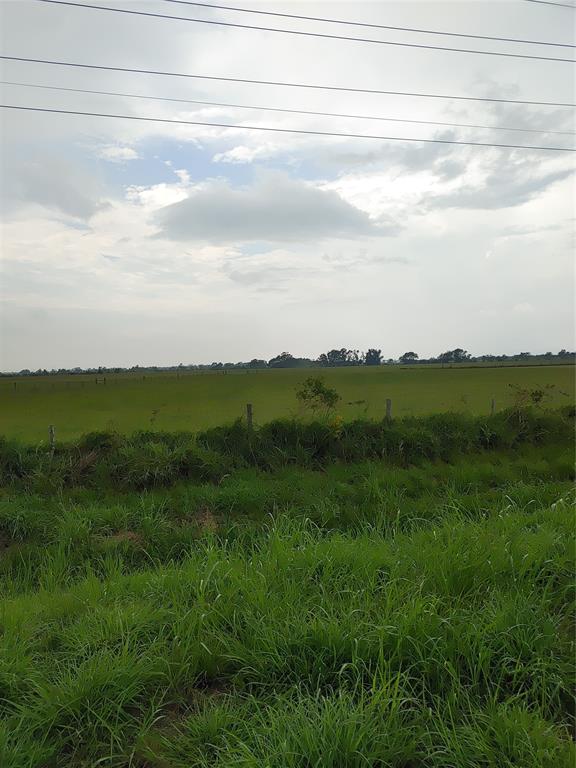 Lot 1 Fm 457, Bay City, Texas image 7