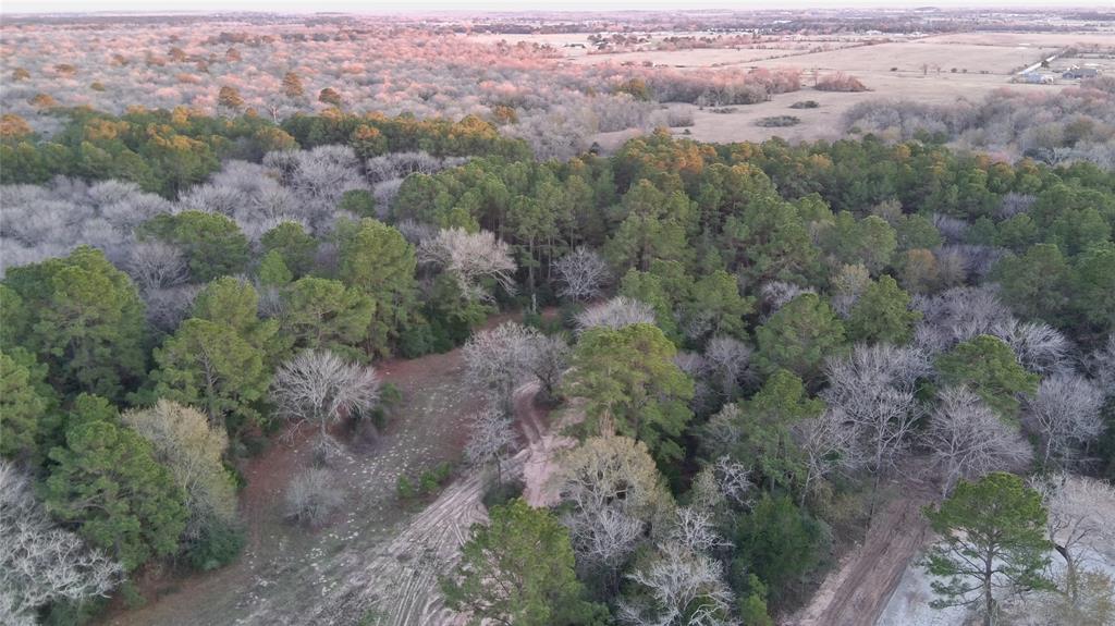 Tbd 175 Fm 362 Road, Waller, Texas image 6