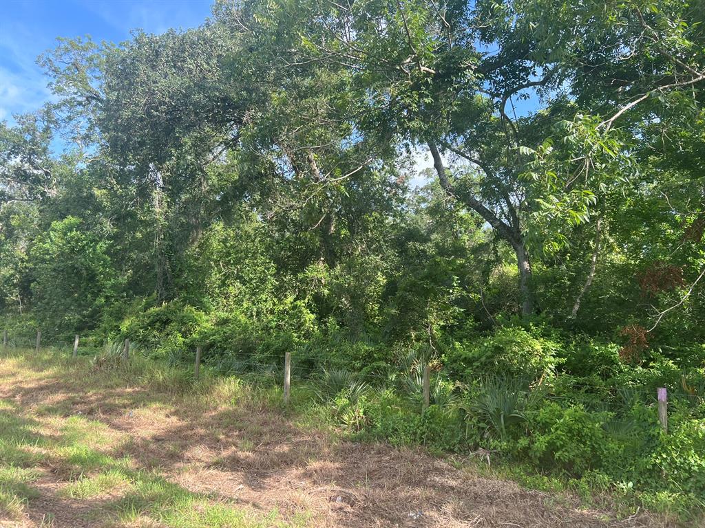 0 County Road 353