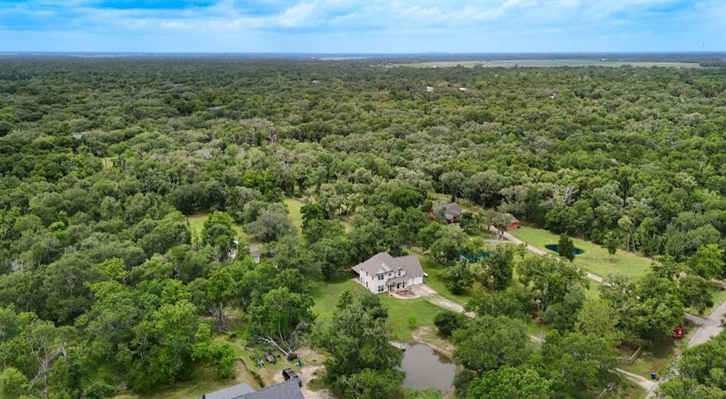 20610 Live Oak Drive, Damon, Texas image 8