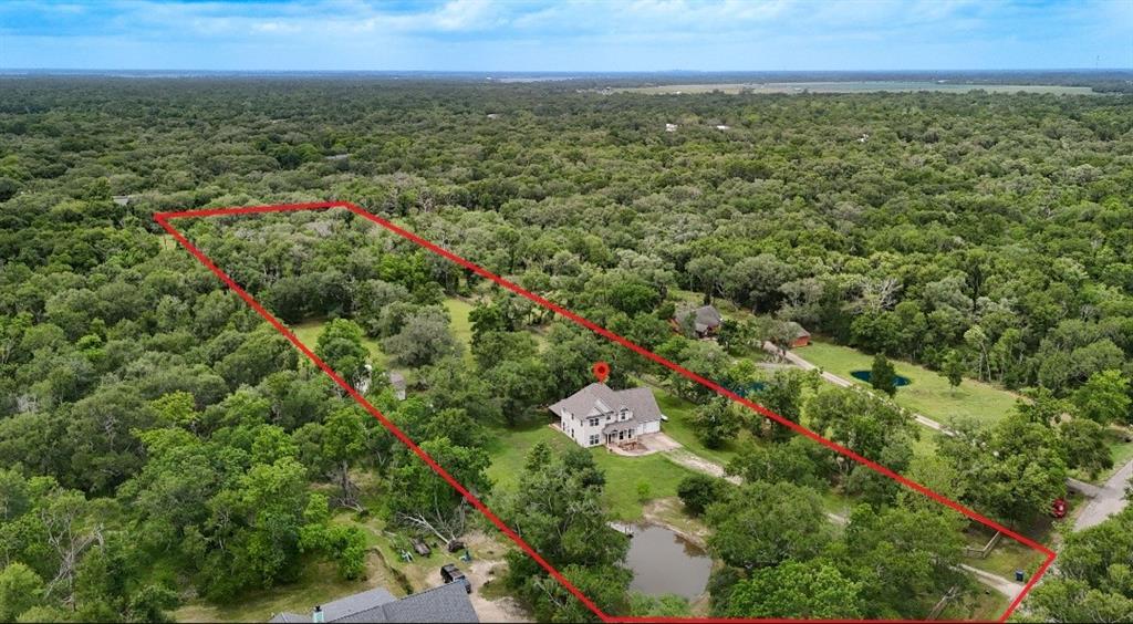 20610 Live Oak Drive, Damon, Texas image 9