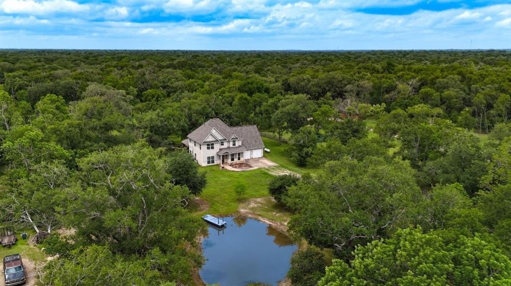 20610 Live Oak Drive, Damon, Texas image 5