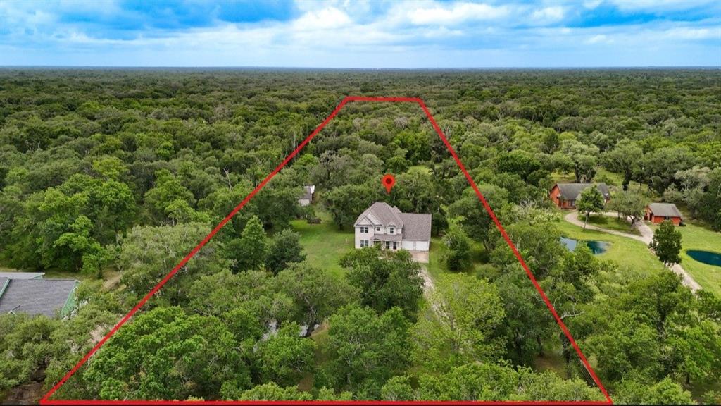 20610 Live Oak Drive, Damon, Texas image 6
