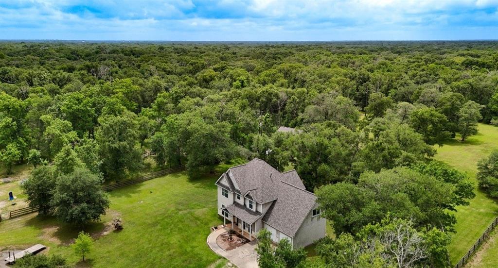 20610 Live Oak Drive, Damon, Texas image 4