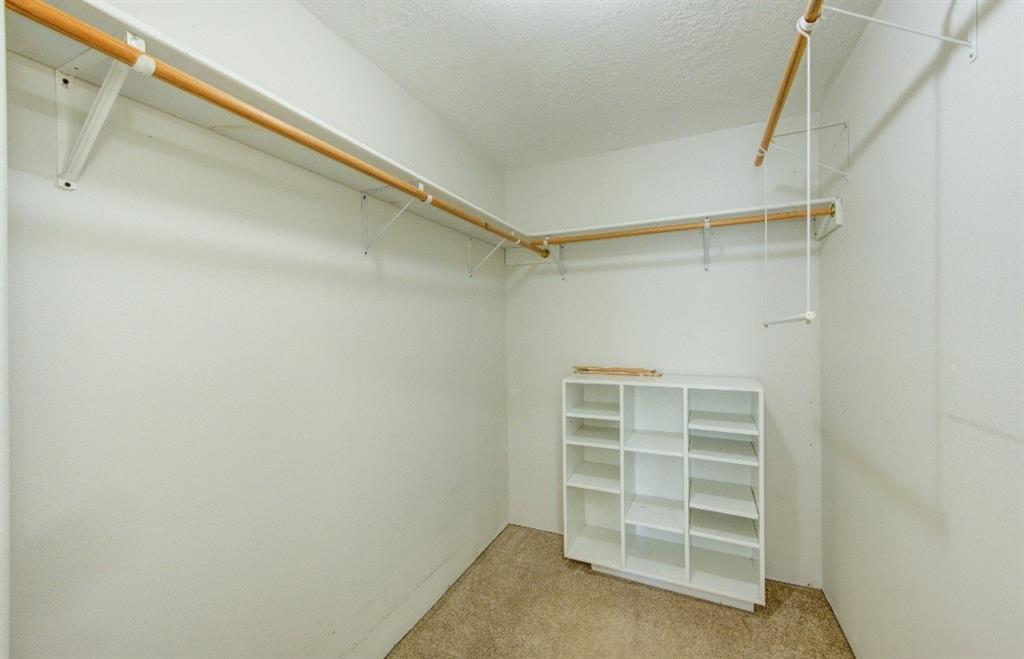 20610 Live Oak Drive, Damon, Texas image 34
