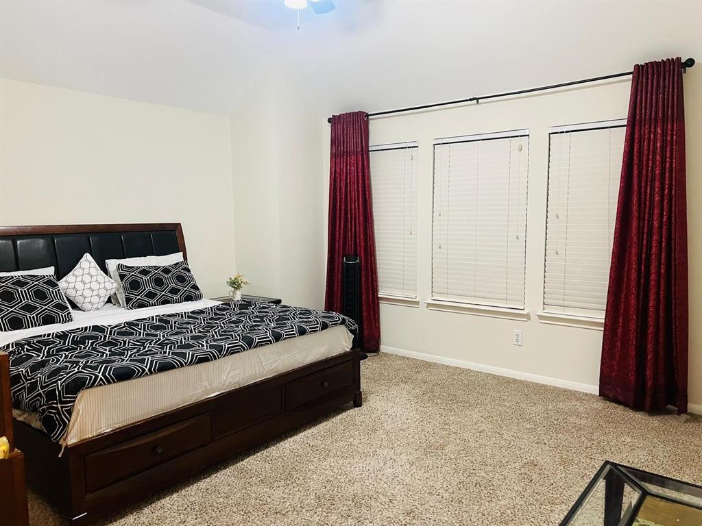 110 Chandler Court, Sugar Land, Texas image 16