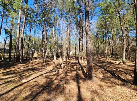 Photo of 0 Reedwood, Montgomery, TX 77356 (MLS # 12706439)