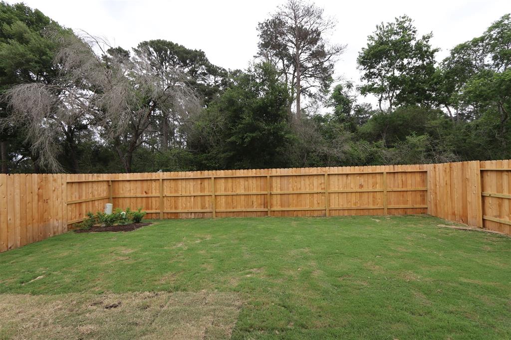 21446 Jacaranda Blossom Way, Tomball, Texas image 14