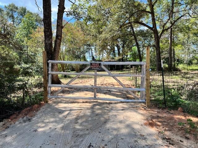 671 Sandy Creek Drive, Willis, Texas image 17