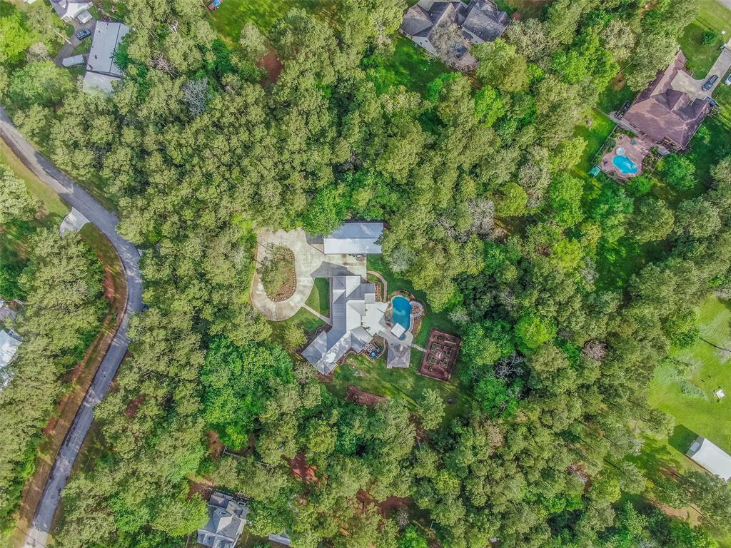 22203 Giant Hickory Drive, Magnolia, Texas image 50