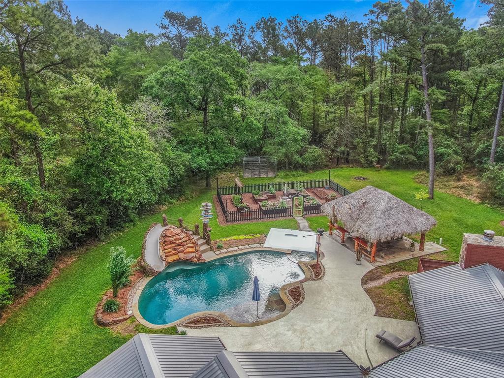 22203 Giant Hickory Drive, Magnolia, Texas image 49