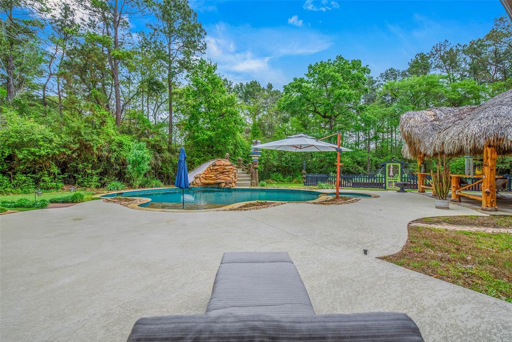 22203 Giant Hickory Drive, Magnolia, Texas image 42
