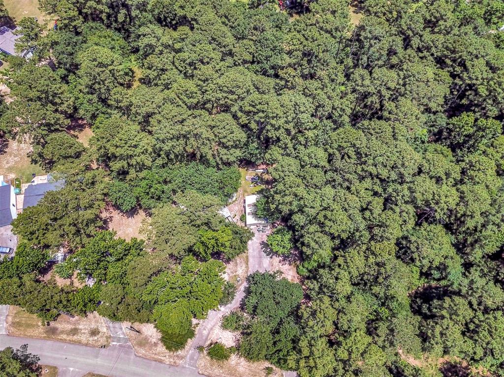 314 Placid Lake Lane, Magnolia, Texas image 41