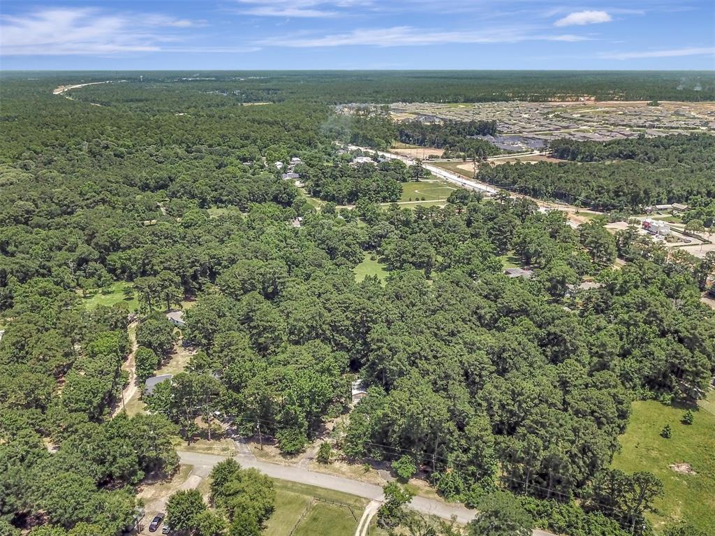 314 Placid Lake Lane, Magnolia, Texas image 40