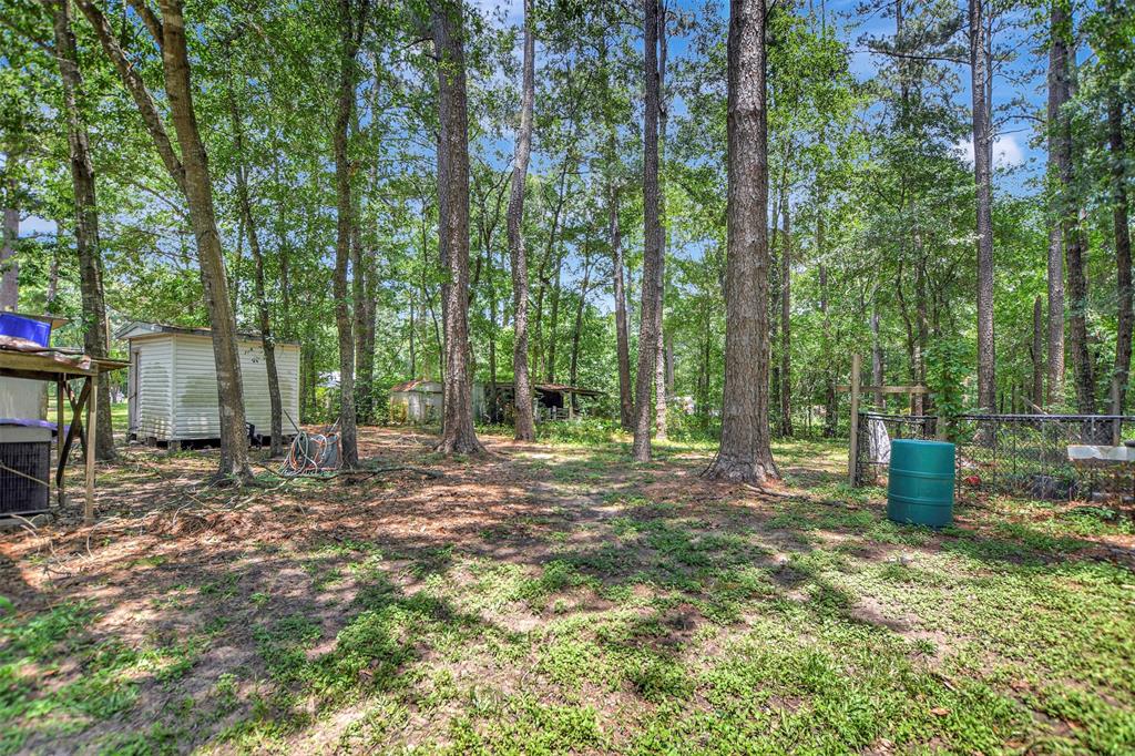 314 Placid Lake Lane, Magnolia, Texas image 35