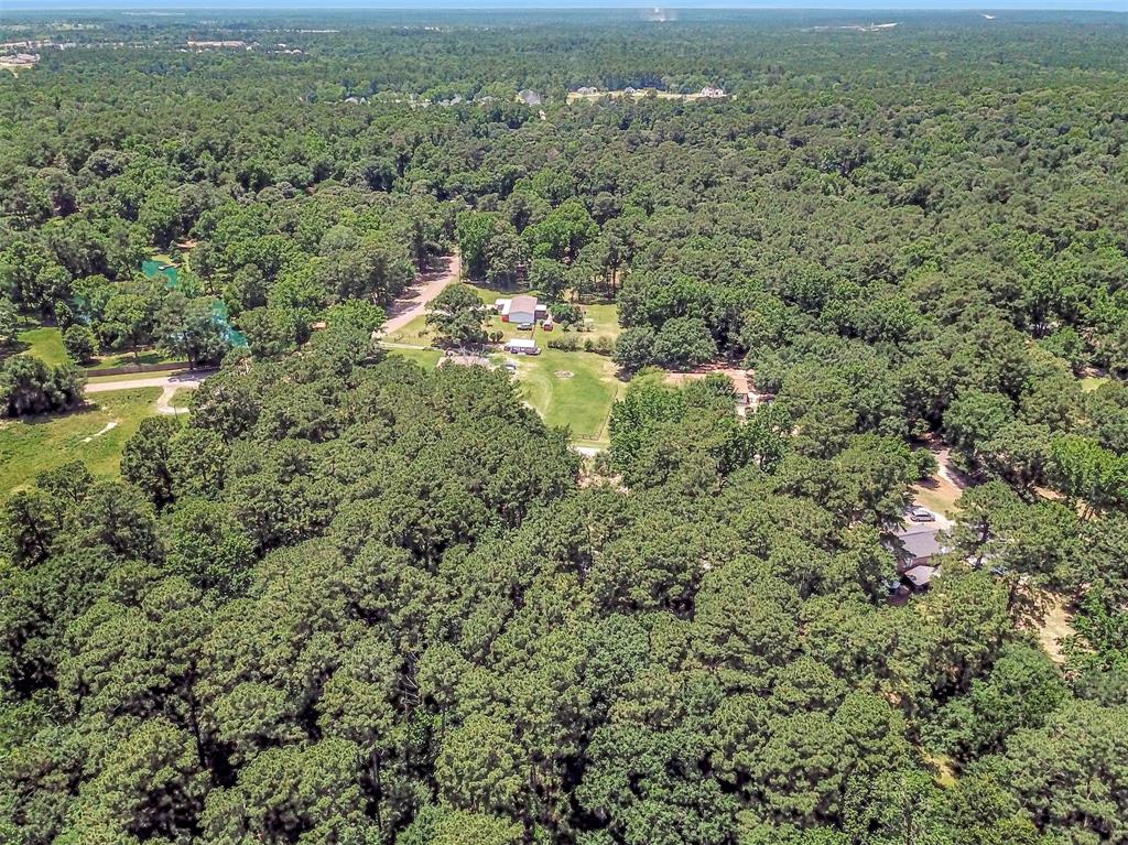 314 Placid Lake Lane, Magnolia, Texas image 43