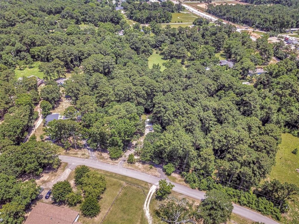 314 Placid Lake Lane, Magnolia, Texas image 39
