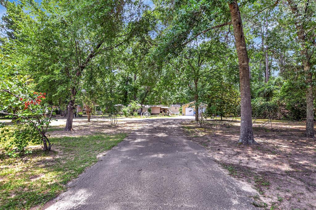 314 Placid Lake Lane, Magnolia, Texas image 2