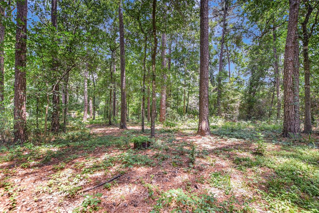 314 Placid Lake Lane, Magnolia, Texas image 38