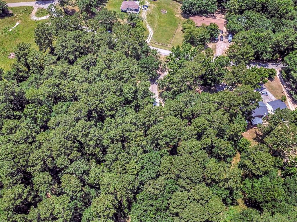 314 Placid Lake Lane, Magnolia, Texas image 42