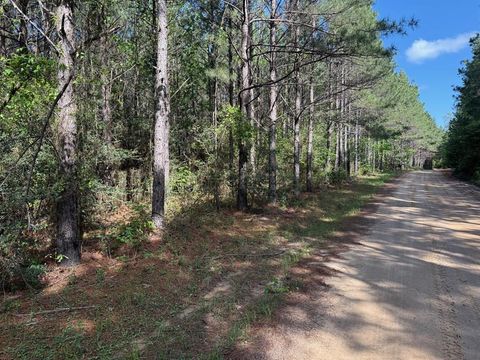 Vacant Land For Sale - 686 Pr 5102<br/> Kennard, TX 75847